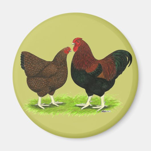 Wyandotte: Partridge Pair Magneet (Voorkant)