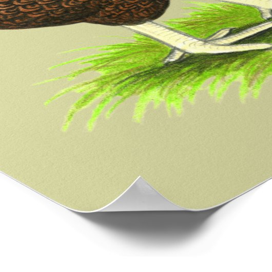 Wyandotte: Partridge Pair Poster (Hoek)