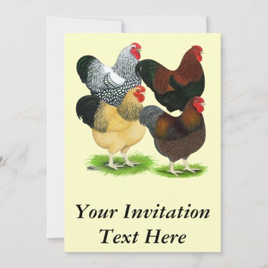 Wyandotte: Rooster Assortment Kaart (Voorkant)