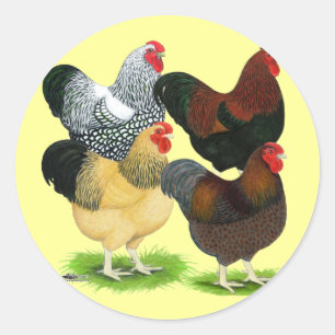 Wyandotte: Rooster Assortment Ronde Sticker
