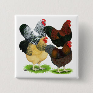 Wyandotte:  Rooster Assortment Vierkante Button 5,1 Cm