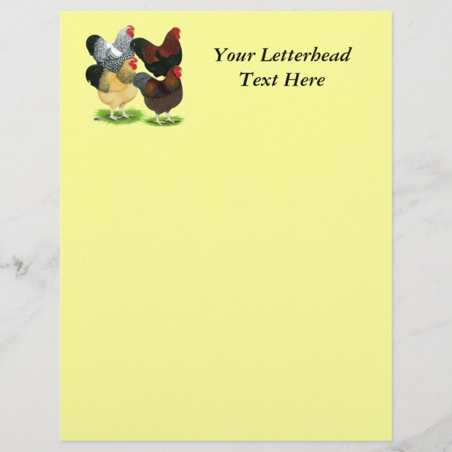 Wyandotte: Rooster-evaluatie (Voorkant)