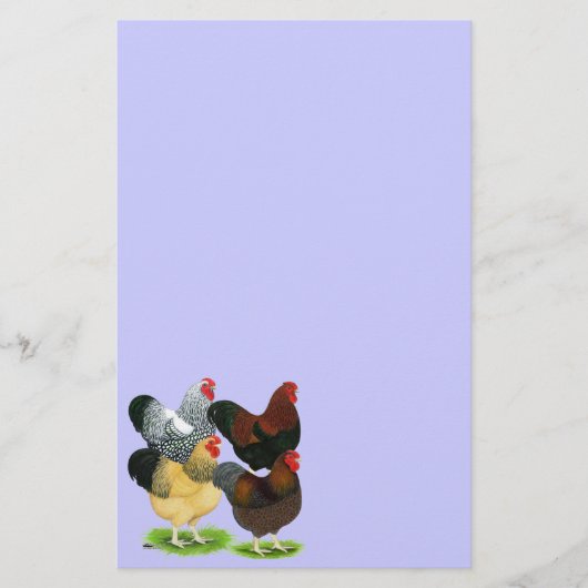 Wyandotte: Rooster-evaluatie Briefpapier (Voorkant)