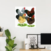 Wyandotte: Rooster-evaluatie Poster (Thuiskantoor)
