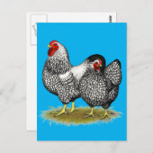 Wyandotte: Silver Pair Briefkaart (Voorkant / Achterkant)