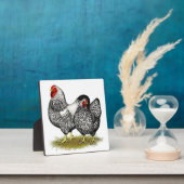 Wyandotte: Silver Pair Fotoplaat (Insitu)