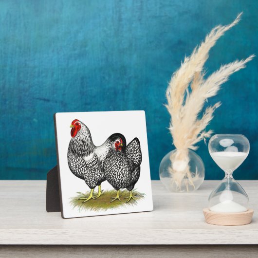 Wyandotte: Silver Pair Fotoplaat (Insitu)