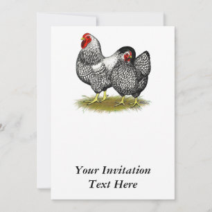 Wyandotte: Silver Pair Kaart