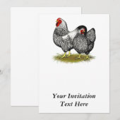 Wyandotte: Silver Pair Kaart (Voorkant / Achterkant)