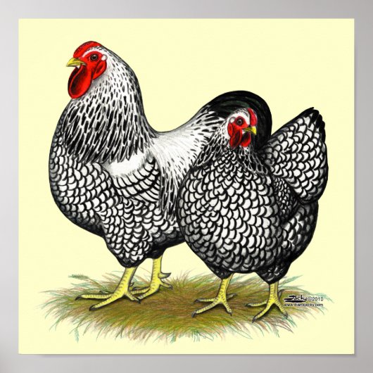 Wyandotte: Silver Pair Poster (Voorkant)