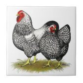 Wyandotte: Silver Pair Tegeltje (Voorkant)