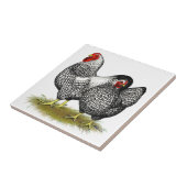 Wyandotte:  Silver Pair Tegeltje (Zijkant)