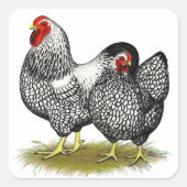 Wyandotte: Silver Pair Vierkante Sticker (Voorkant)