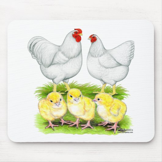 Wyandotte Witte Kippenfamilie Muismat (Voorkant)