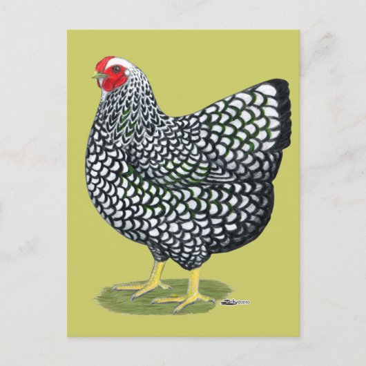 Wyandotte: Zilverlaced Hen Briefkaart (Voorkant)