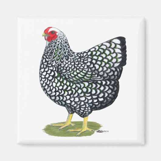 Wyandotte: Zilverlaced hout Magneet (Voorkant)