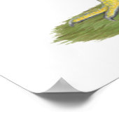 Wyandotte: Zilverlaced hout Poster (Hoek)