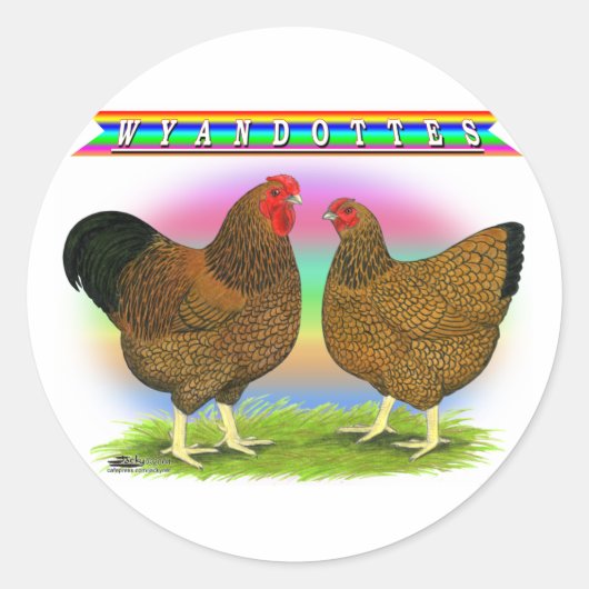 Wyandottes: Golden-laced regenboog Ronde Sticker (Voorkant)