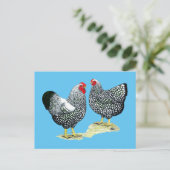 Wyandottes Silver-laced Pair Briefkaart (Staand voorkant)