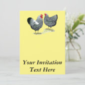 Wyandottes Silver-laced Pair Kaart (Staand voorkant)