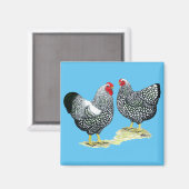 Wyandottes Silver-laced Pair Magneet (Voorkant / Achterkant)
