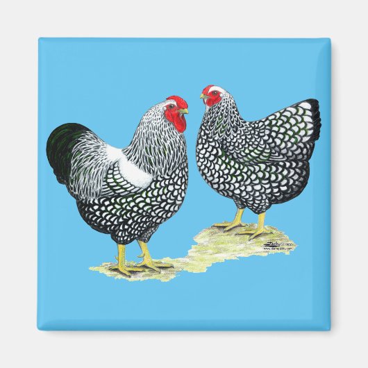 Wyandottes Silver-laced Pair Magneet (Voorkant)