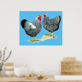 Wyandottes Silver-laced Pair Poster (Keuken)