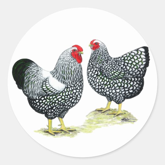 Wyandottes Silver-laced Pair Ronde Sticker (Voorkant)