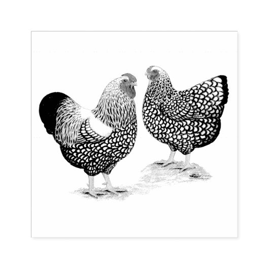 Wyandottes Silver-laced Pair Rubberstempel (Afrduk)