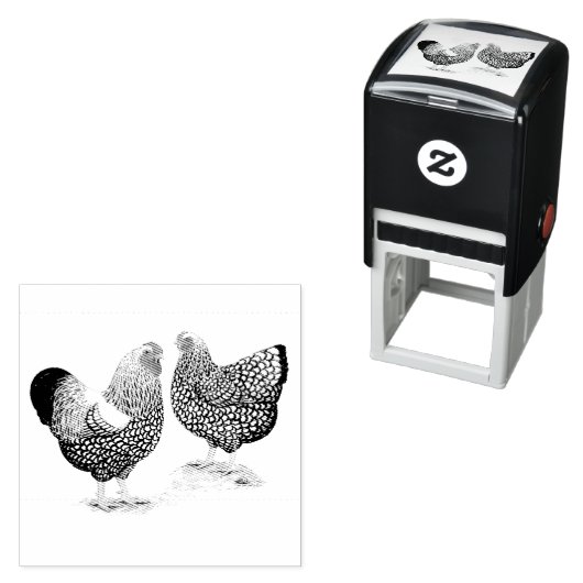 Wyandottes Silver-laced Pair Zelfinktende Stempel (In situ)