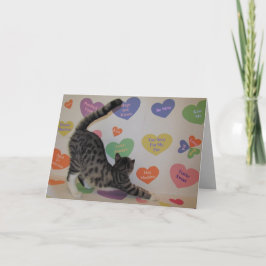 Wyatt De discussie van de kat Harten de Valentijns Feestdagen Kaart