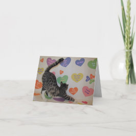 Wyatt De discussie van de kat Harten de Valentijns Feestdagen Kaart