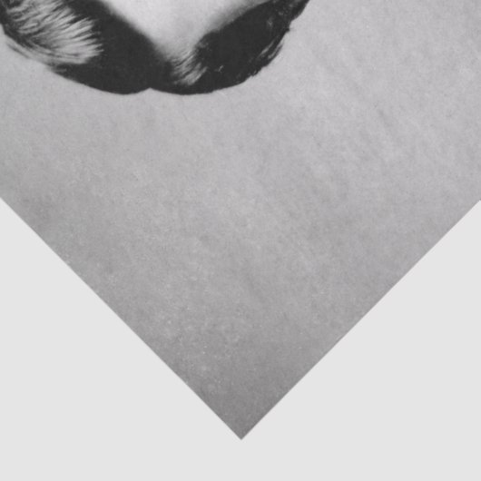 Wyatt Earp: Lawman, Gunfighter, Saloon Keeper Tissuepapier (Detail)