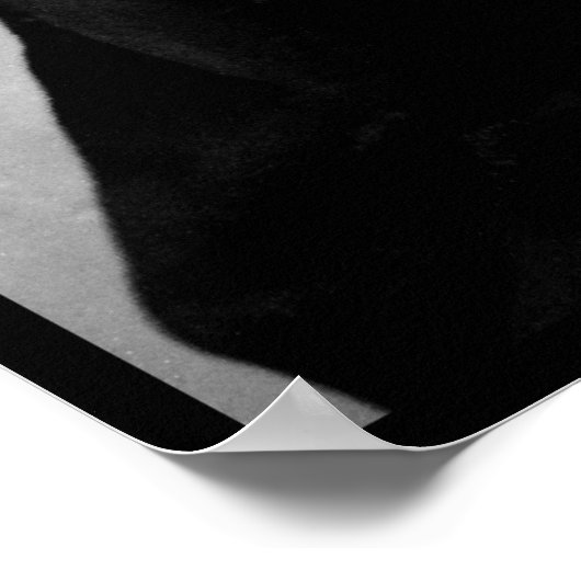 Wyatt Earp Sheriff Tombstone Old West Poster (Hoek)