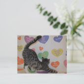 Wyatt's Valentijn - Kat / Keuken - Vlete Kaart (Staand voorkant)