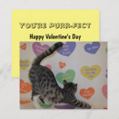 Wyatt's Valentijn - Kat / Keuken - Vlete Kaart (Voorkant / Achterkant)