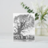 Wych Elm. Briefkaart van het oorspronkelijke (Staand voorkant)