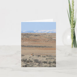 Wyo Speed Goat - 4" x 5.6" Notitiekaart