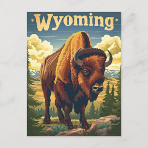 Wyoming Bison Briefkaart
