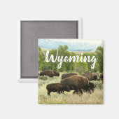 Wyoming Bison Nature Animal Photography Magneet (Voorkant / Achterkant)
