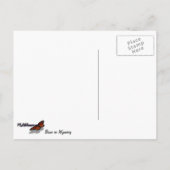 Wyoming Bison Natuur Animal Fotografie Briefkaart (Achterkant)