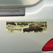 Wyoming Bison Natuur Animal Fotografie Bumpersticker (Op auto)