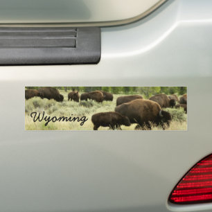 Wyoming Bison Natuur Animal Fotografie Bumpersticker
