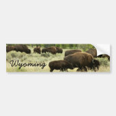 Wyoming Bison Natuur Animal Fotografie Bumpersticker (Voorkant)