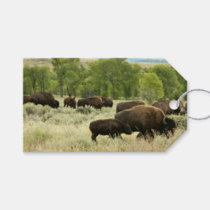 Wyoming Bison Natuur Animal Fotografie Cadeaulabel