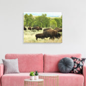 Wyoming Bison Natuur Animal Fotografie Canvas Afdruk (Insitu (Woonkamer))