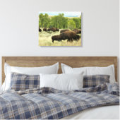 Wyoming Bison Natuur Animal Fotografie Canvas Afdruk (Insitu (Slaapkamer))