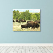 Wyoming Bison Natuur Animal Fotografie Canvas Afdruk (Insitu (Houten vloer))