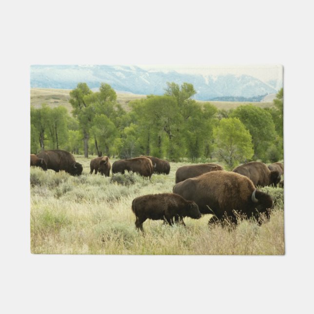 Wyoming Bison Natuur Animal Fotografie Deurmat (Voorkant)