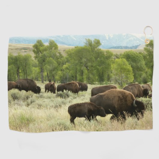 Wyoming Bison Natuur Animal Fotografie Golfhanddoek (Horizontaal)